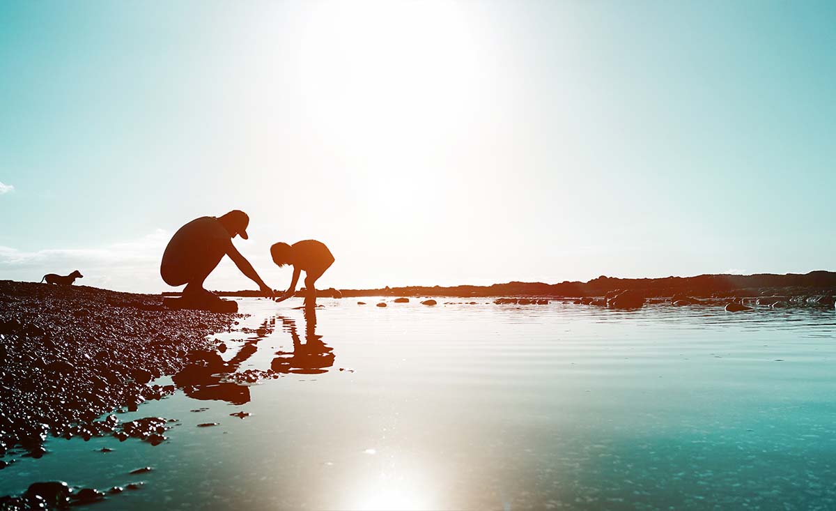 Εγκυμοσύνη κατά τη διάσταση ή μετά το διαζύγιο - Τεκμήριο καταγωγής από γάμο και Προσβολή πατρότητας.